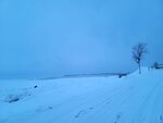 13022025_Samsung Galaxy Note20 Ultra_29th round to Hokkaido_Saromako Morning00078