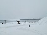 13022025_Samsung Galaxy Note20 Ultra_29th round to Hokkaido_Saromako Morning00084