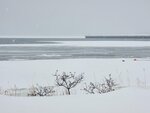 13022025_Samsung Galaxy Note20 Ultra_29th round to Hokkaido_Saromako Morning00090