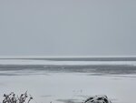 13022025_Samsung Galaxy Note20 Ultra_29th round to Hokkaido_Saromako Morning00091