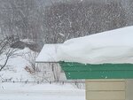 13022025_Samsung Galaxy Note20 Ultra_29th round to Hokkaido_Saromako Morning00102
