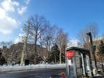 14022025_Samsung Galaxy Note20 Ultra_29th round to Hokkaido_Akarenga00016