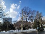 14022025_Samsung Galaxy Note20 Ultra_29th round to Hokkaido_Akarenga00017