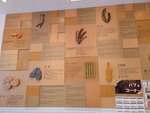 14022025_Samsung Galaxy Note20 Ultra_29th round to Hokkaido_Akarenga_Tsuruga Buffet Dining Hall00030