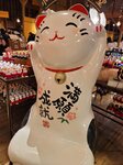 14022025_Samsung Galaxy Note20 Ultra_29th round to Hokkaido_Otaru Orgel00015