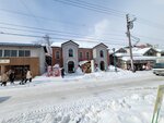 14022025_Samsung Galaxy Note20 Ultra_29th round to Hokkaido_Otaru Sakaimachi00060