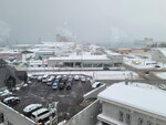 14022025_Samsung Galaxy Note20 Ultra_29th round to Hokkaido_Otaru Sakaimachi_Le Tao Honten Tenmondai00026
