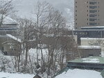14022025_Samsung Galaxy Note20 Ultra_29th round to Hokkaido_Otaru Sakaimachi_Le Tao Honten Tenmondai00029