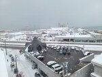 14022025_Samsung Galaxy Note20 Ultra_29th round to Hokkaido_Otaru Sakaimachi_Le Tao Honten Tenmondai00033