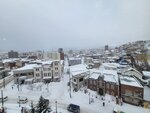 14022025_Samsung Galaxy Note20 Ultra_29th round to Hokkaido_Otaru Sakaimachi_Le Tao Honten Tenmondai00038