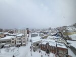 14022025_Samsung Galaxy Note20 Ultra_29th round to Hokkaido_Otaru Sakaimachi_Le Tao Honten Tenmondai00039