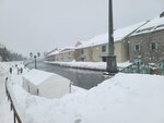14022025_Samsung Galaxy Note20 Ultra_29th round to Hokkaido_Otaru Unga00022