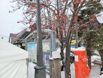 14022025_Samsung Galaxy Note20 Ultra_29th round to Hokkaido_Otaru Unga00033