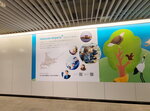 14022025_Samsung Galaxy Note20 Ultra_29th round to Hokkaido_Sapporo Chikagai00030