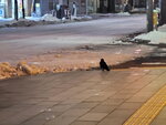 14022025_Samsung Galaxy Note20 Ultra_29th round to Hokkaido_Sapporo Morning00023