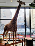 14022025_Samsung Galaxy Note20 Ultra_29th round to Hokkaido_Sapporo Morning_La' Gent Hotel00007