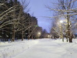 14022025_Samsung Galaxy Note20 Ultra_29th round to Hokkaido_Sapporo Morning_Nakajima Koen00003