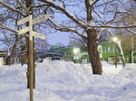 14022025_Samsung Galaxy Note20 Ultra_29th round to Hokkaido_Sapporo Morning_Nakajima Koen00005