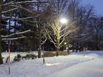 14022025_Samsung Galaxy Note20 Ultra_29th round to Hokkaido_Sapporo Morning_Nakajima Koen00009