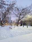 14022025_Samsung Galaxy Note20 Ultra_29th round to Hokkaido_Sapporo Morning_Nakajima Koen00011