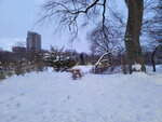 14022025_Samsung Galaxy Note20 Ultra_29th round to Hokkaido_Sapporo Morning_Nakajima Koen00013