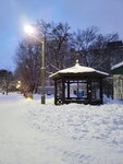 14022025_Samsung Galaxy Note20 Ultra_29th round to Hokkaido_Sapporo Morning_Nakajima Koen00014