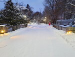 14022025_Samsung Galaxy Note20 Ultra_29th round to Hokkaido_Sapporo Morning_Nakajima Koen00015