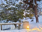 14022025_Samsung Galaxy Note20 Ultra_29th round to Hokkaido_Sapporo Morning_Nakajima Koen00016