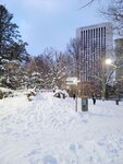 14022025_Samsung Galaxy Note20 Ultra_29th round to Hokkaido_Sapporo Morning_Nakajima Koen00017
