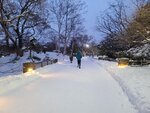 14022025_Samsung Galaxy Note20 Ultra_29th round to Hokkaido_Sapporo Morning_Nakajima Koen00018