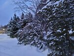 14022025_Samsung Galaxy Note20 Ultra_29th round to Hokkaido_Sapporo Morning_Nakajima Koen00021