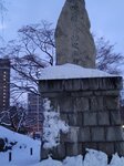14022025_Samsung Galaxy Note20 Ultra_29th round to Hokkaido_Sapporo Morning_Nakajima Koen00022