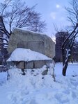 14022025_Samsung Galaxy Note20 Ultra_29th round to Hokkaido_Sapporo Morning_Nakajima Koen00024