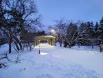 14022025_Samsung Galaxy Note20 Ultra_29th round to Hokkaido_Sapporo Morning_Nakajima Koen00026