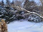 14022025_Samsung Galaxy Note20 Ultra_29th round to Hokkaido_Sapporo Morning_Nakajima Koen00027