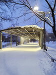 14022025_Samsung Galaxy Note20 Ultra_29th round to Hokkaido_Sapporo Morning_Nakajima Koen00028