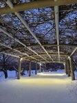 14022025_Samsung Galaxy Note20 Ultra_29th round to Hokkaido_Sapporo Morning_Nakajima Koen00031