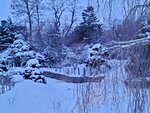 14022025_Samsung Galaxy Note20 Ultra_29th round to Hokkaido_Sapporo Morning_Nakajima Koen00034