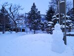 14022025_Samsung Galaxy Note20 Ultra_29th round to Hokkaido_Sapporo Morning_Nakajima Koen00035