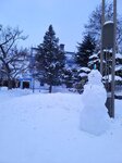 14022025_Samsung Galaxy Note20 Ultra_29th round to Hokkaido_Sapporo Morning_Nakajima Koen00036