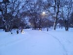 14022025_Samsung Galaxy Note20 Ultra_29th round to Hokkaido_Sapporo Morning_Nakajima Koen00037