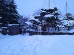 14022025_Samsung Galaxy Note20 Ultra_29th round to Hokkaido_Sapporo Morning_Nakajima Koen00038
