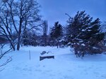 14022025_Samsung Galaxy Note20 Ultra_29th round to Hokkaido_Sapporo Morning_Nakajima Koen00039