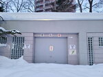 14022025_Samsung Galaxy Note20 Ultra_29th round to Hokkaido_Sapporo Morning_Nakajima Koen00043