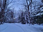 14022025_Samsung Galaxy Note20 Ultra_29th round to Hokkaido_Sapporo Morning_Nakajima Koen00044