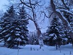 14022025_Samsung Galaxy Note20 Ultra_29th round to Hokkaido_Sapporo Morning_Nakajima Koen00045
