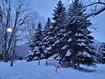 14022025_Samsung Galaxy Note20 Ultra_29th round to Hokkaido_Sapporo Morning_Nakajima Koen00046