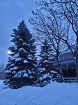 14022025_Samsung Galaxy Note20 Ultra_29th round to Hokkaido_Sapporo Morning_Nakajima Koen00047