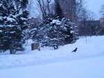 14022025_Samsung Galaxy Note20 Ultra_29th round to Hokkaido_Sapporo Morning_Nakajima Koen00049