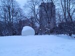 14022025_Samsung Galaxy Note20 Ultra_29th round to Hokkaido_Sapporo Morning_Nakajima Koen00050